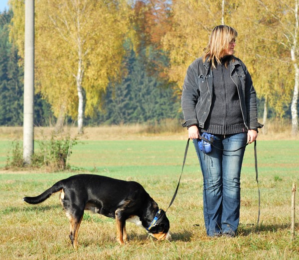 Podzim. víkend - neděle 26. 10. 2008