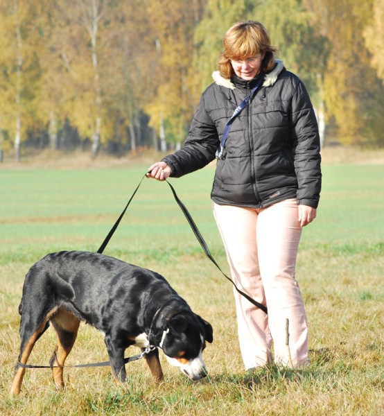 Podzim. víkend - neděle 26. 10. 2008