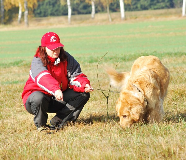 Podzim. víkend - neděle 26. 10. 2008