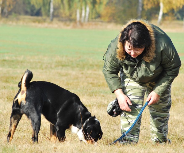 Podzim. víkend - neděle 26. 10. 2008