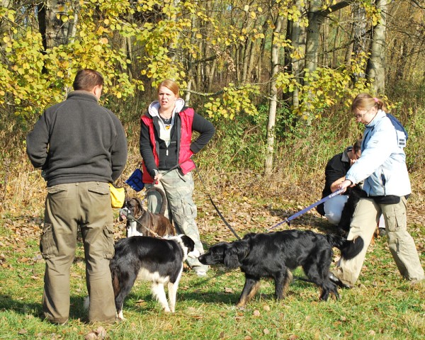 Podzim. víkend - neděle 26. 10. 2008