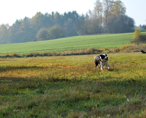 Podzim. víkend - neděle 26. 10. 2008