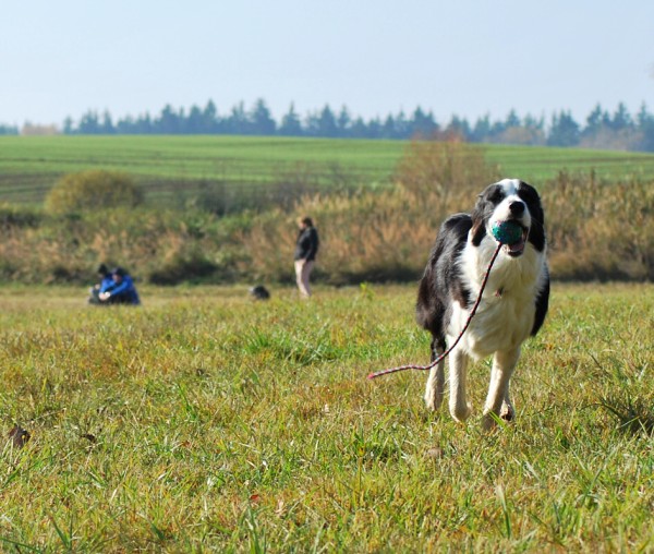 Podzim. víkend - neděle 26. 10. 2008