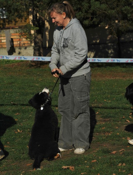 Podzim. víkend - neděle 26. 10. 2008