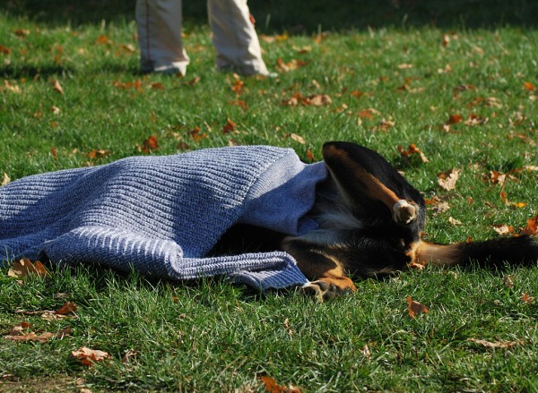 Podzim. víkend - neděle 26. 10. 2008
