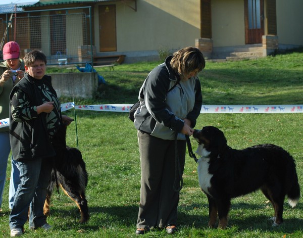 Podzim. víkend - neděle 26. 10. 2008