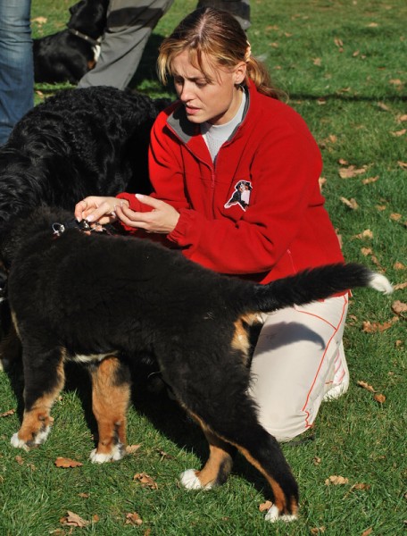 Podzim. víkend - neděle 26. 10. 2008