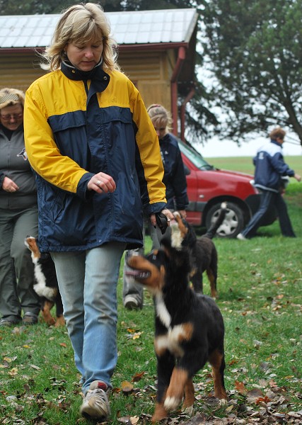 Podzim. víkend - úterý 28. 10. 2008