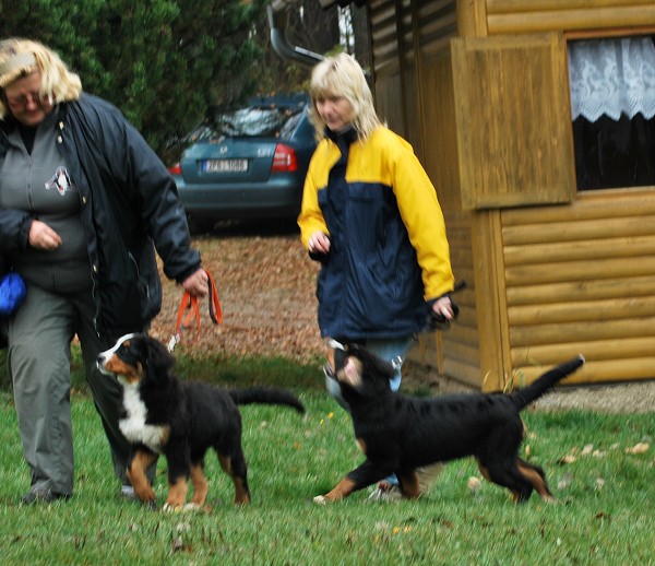 Podzim. víkend - úterý 28. 10. 2008