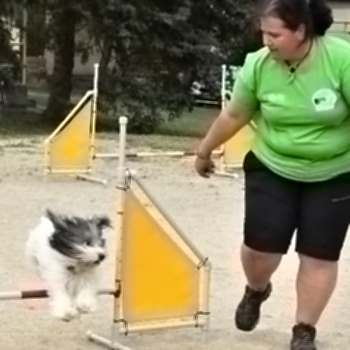 DSC 0413